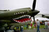 p-40-3.jpg (379920 bytes)