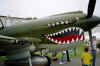 p-40-5.jpg (381764 bytes)