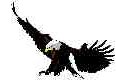EAGLEjpg.jpg (2757 bytes)