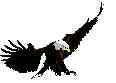EAGLEleft.jpg (2294 bytes)